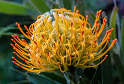 Attractions-National-botanical-gardens National Botanical Gardens