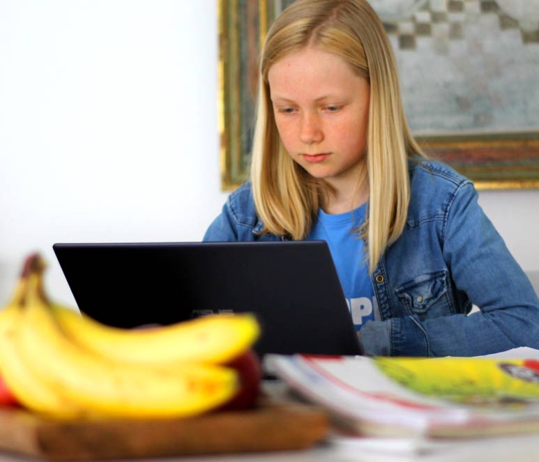 Canberra Attractions – Online learning